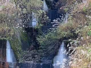 紅葉を眺めながら